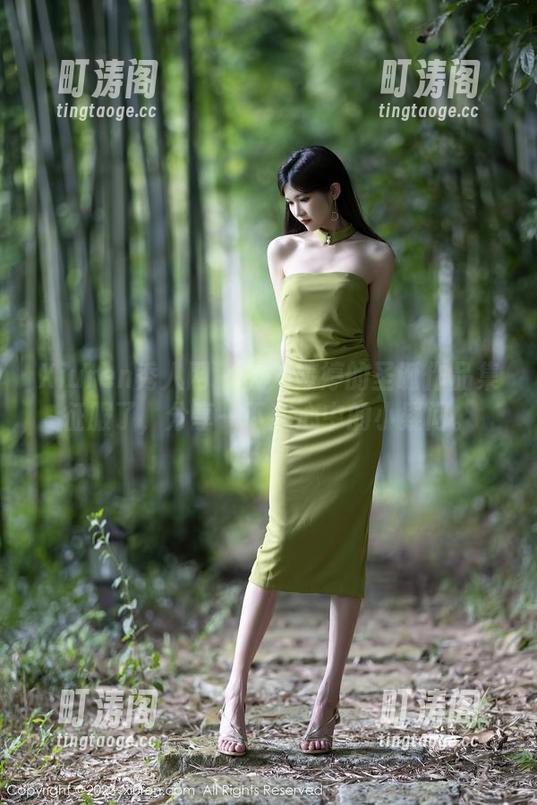 Xiuren秀人网 - 被刘婷婷的圣诞作品集征服了，分享一下我心中的小疑问。