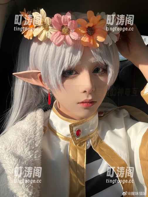 腥味猫罐的日常图包：猫咪与我的神奇互动资源